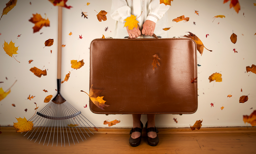 Plombier Expert | Belle-mère tenant un valise avec râteau et feuilles mortes